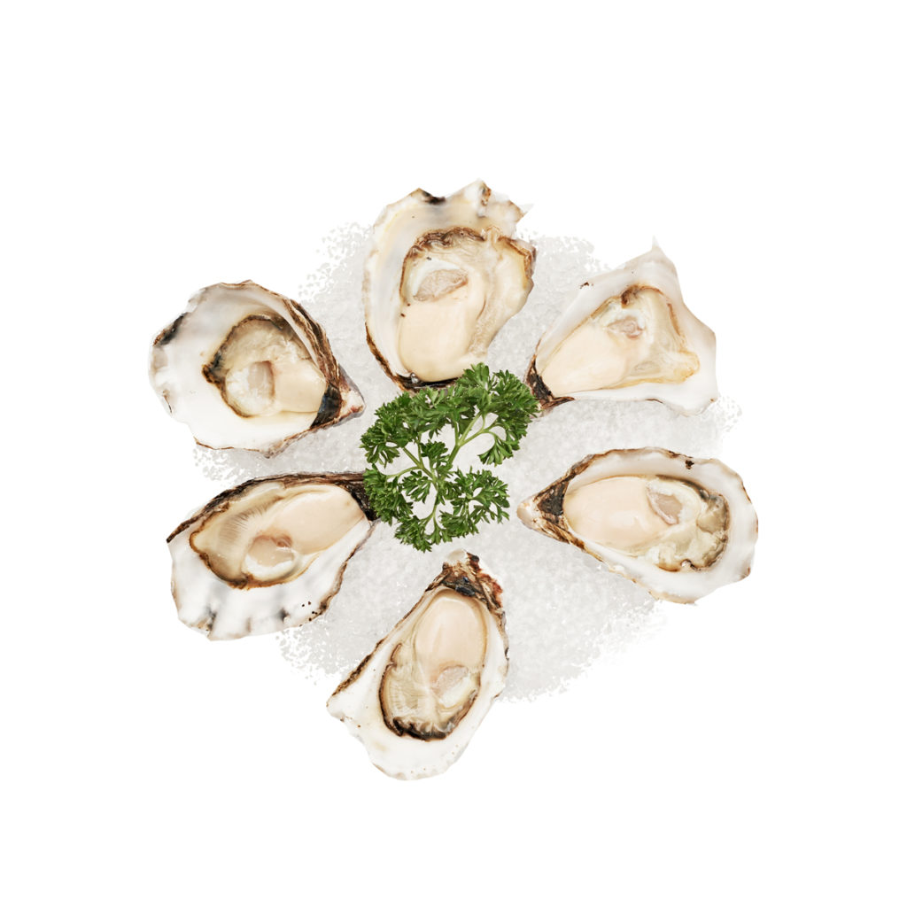 plaent seafood sydney rock oyster nicholas duell © 2020 dsc 4664