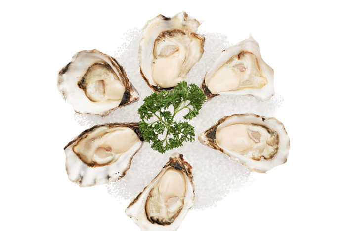 plaent seafood sydney rock oyster nicholas duell © 2020 dsc 4664