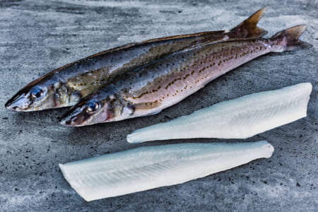 King George Whiting 2