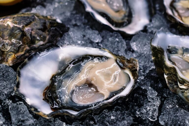 Oysters buy seafood online, seafood online store melbourne, seafood online melbourne, seafood, online,