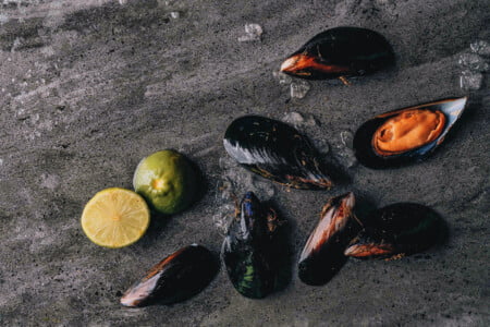 Mussels 2