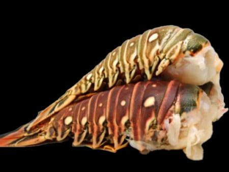 Australian Raw Crayfish Tails | Cray Tails