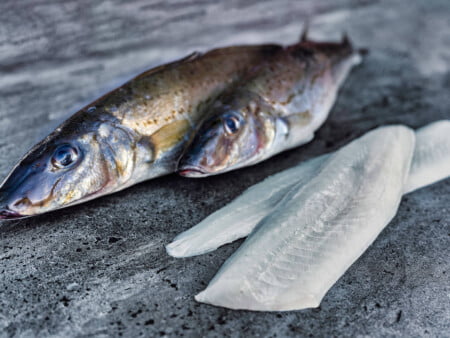King George Whiting Fillets