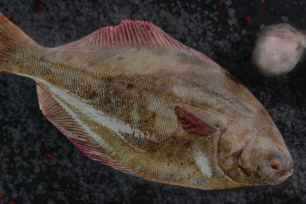Sand Flounder Seafood Buy Local Australian Seafood Online