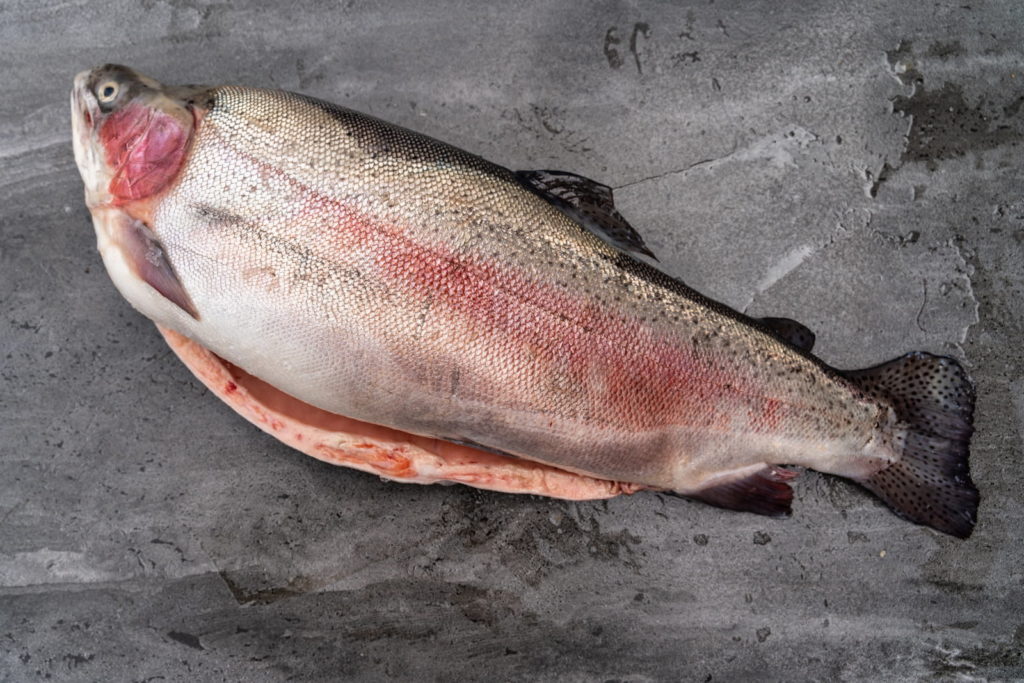 Whole Salmon - Planet Seafood -Buy Local Australian Seafood Online