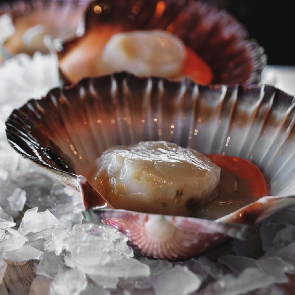 Scallops Half Shell Half Dozen Seafood Buy Local Australian